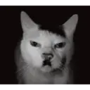 స్టికర్