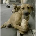 స్టికర్