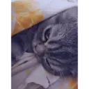 స్టికర్