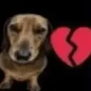 ස්ටිකර්