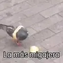 ஸ்டிக்கர்