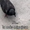 ஸ்டிக்கர்