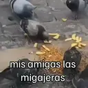 ஸ்டிக்கர்