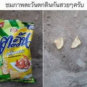 ស្ទីកเกอร์
