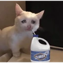 สติกเกอร์