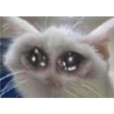 สติกเกอร์