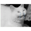 สติกเกอร์