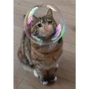 สติกเกอร์