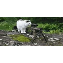 สติกเกอร์