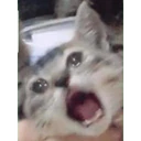 สติกเกอร์