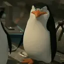 স্টিকার