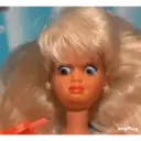 স্টিকার