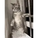 স্টিকার