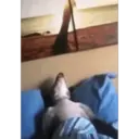 স্টিকার