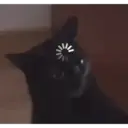 স্টিকার