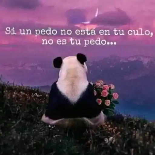 Կպչուն պիտակ