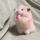 ஸ்டிக்கர்