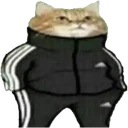 স্টিকার