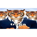 স্টিকার