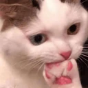 ஸ்டிக்கர்