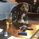 Կպչուն պիտակ