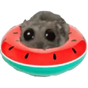 ស្ទីកเกอร์