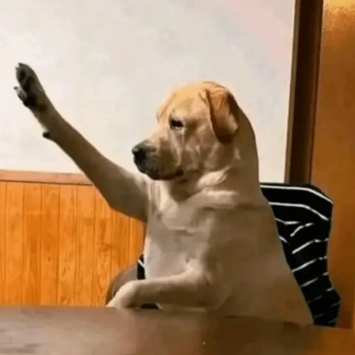 ස්ටිකර්