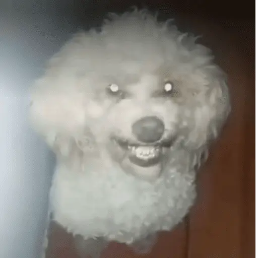 ස්ටිකර්