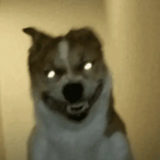 ස්ටිකර්