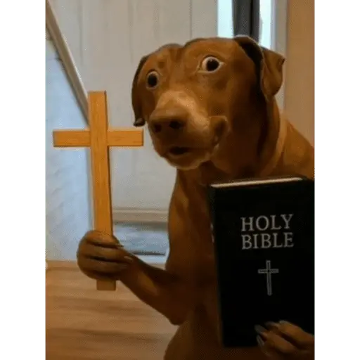 ස්ටිකර්