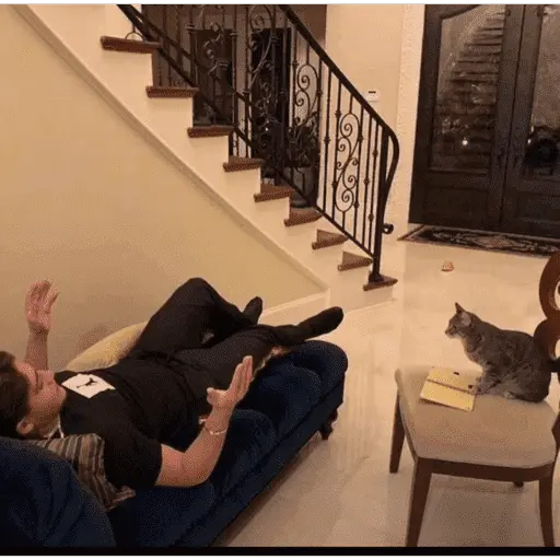 ස්ටිකර්