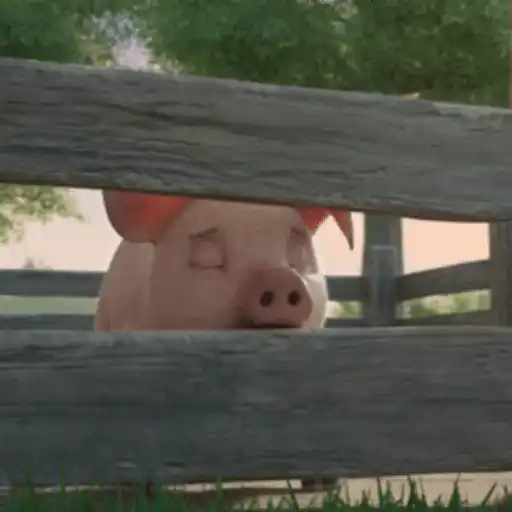 స్టికర్