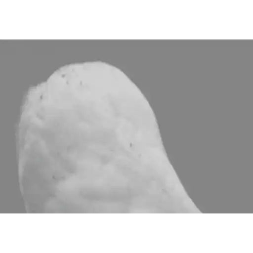 สติกเกอร์