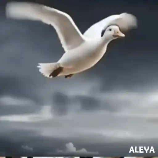 สติกเกอร์