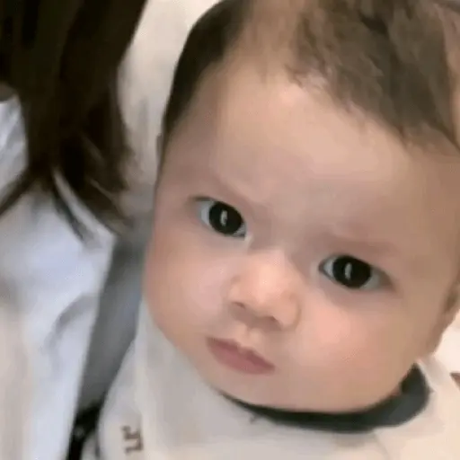 স্টিকার