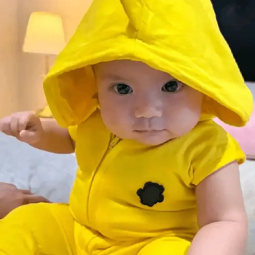 স্টিকার