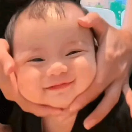 স্টিকার