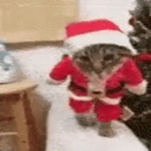 স্টিকার