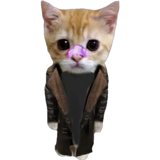 স্টিকার