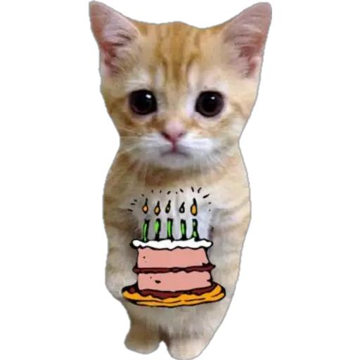 স্টিকার