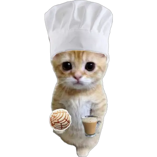 স্টিকার