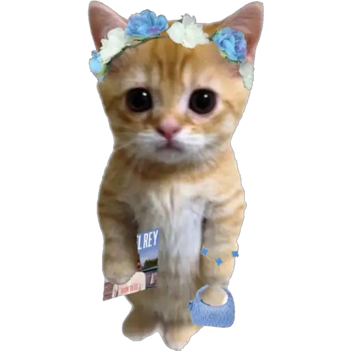 স্টিকার