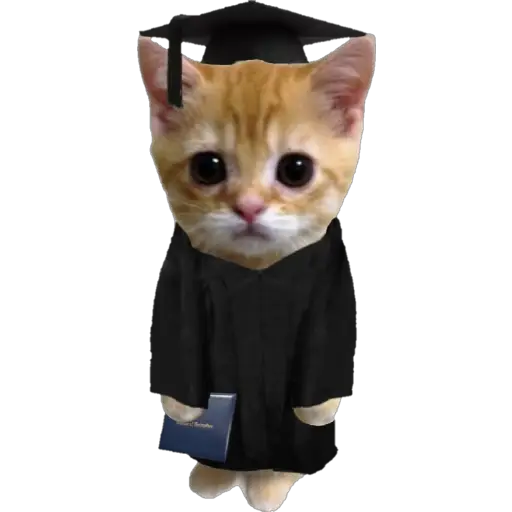 স্টিকার