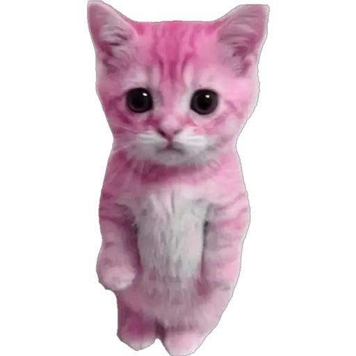 স্টিকার