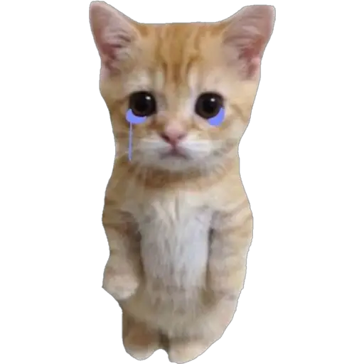 স্টিকার