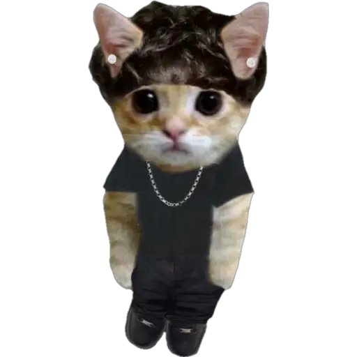 স্টিকার