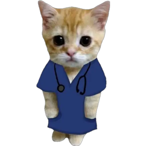 স্টিকার