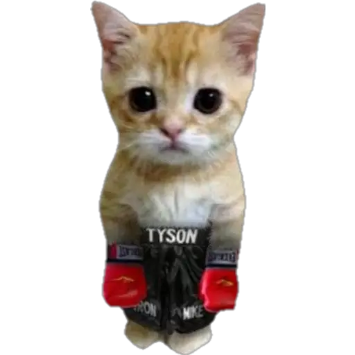 স্টিকার