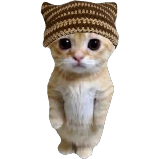 স্টিকার