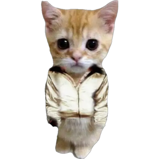 স্টিকার